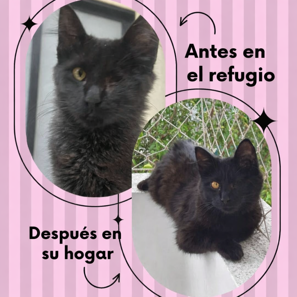 ChatGPT Image 7 de jan. de 2026, 19_40_43